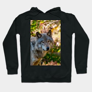 Timber Wolf Hoodie